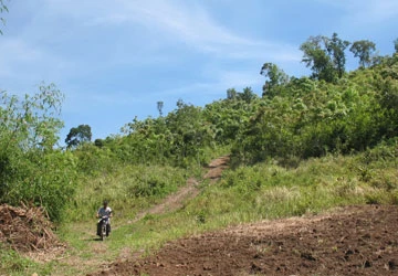 Chủ rừng Khánh Sơn tiếp tay phá rừng? ảnh 1