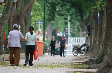 Hà Nội mùa lá bay ảnh 6