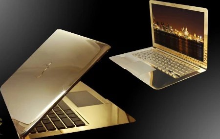 iPad 2 có vỏ xương khủng long bạo chúa giá 160 tỷ đồng ảnh 2