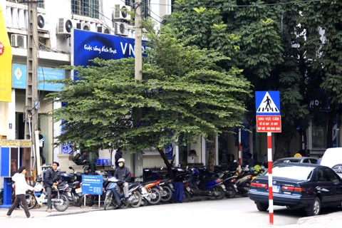 "Chợ" đôla rong bí mật hoạt động ảnh 1