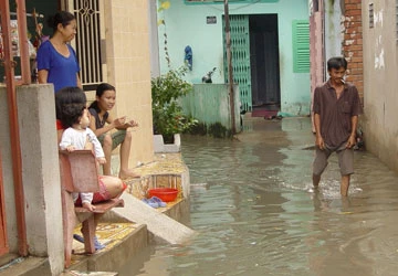 Nước mưa đang dồn vào hẻm ảnh 1