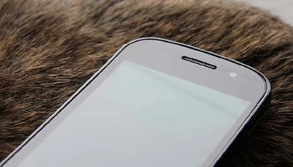 Mở hộp Nexus S chạy Android 2.3 ảnh 4