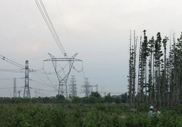 Ba người làm mất điện cả miền Nam ảnh 1