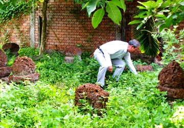 Tòa “ép” đương sự bốc mồ mả gia tộc ảnh 1 Tòa “ép” đương sự bốc mồ mả gia tộc ảnh 1