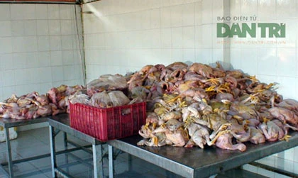 Phát hiện gần 1 tấn “thịt bẩn” trên xe khách ảnh 1 Phát hiện gần 1 tấn “thịt bẩn” trên xe khách ảnh 1