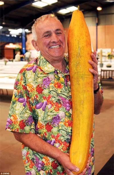 Những loại rau quả khổng lồ chưa từng thấy ảnh 4