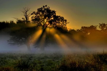 Mang thiên nhiên lên màn hình máy tính với bộ sưu tập hình nền tuyệt đẹp ảnh 8