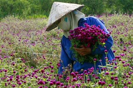 Ảnh phụ nữ - một nửa thế giới ảnh 1