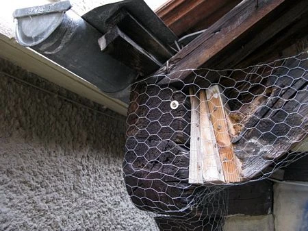 Đức lo mất danh hiệu phố hẹp nhất hành tinh ảnh 13