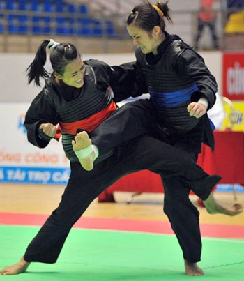 Chuyện buồn của pencak silat Việt Nam ảnh 2