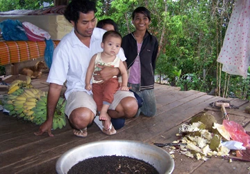 Côn trùng lạ xuất hiện dày đặc ở Kon Tum ảnh 1