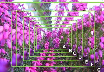 Cuộc đua megapixel trong máy ảnh đã kết thúc? ảnh 1 Cuộc đua megapixel trong máy ảnh đã kết thúc? ảnh 1