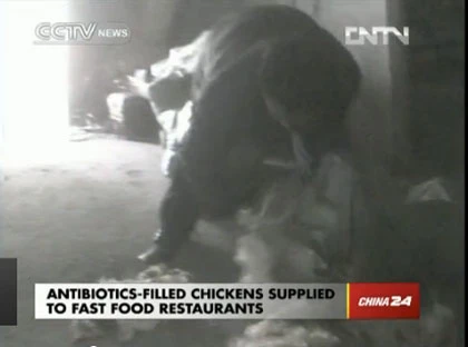 "Gà kháng sinh": Cơ quan chức năng im lặng! ảnh 3 "Gà kháng sinh": Cơ quan chức năng im lặng! ảnh 3