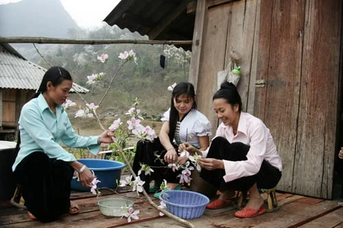 Truyền thuyết hoa Ban ảnh 6