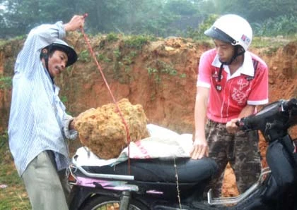 Đổ xô đào đá cảnh ở nghĩa địa ảnh 10