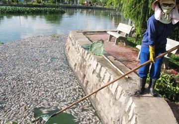 Ninh Thuận: Cá chết trắng hồ chưa rõ nguyên nhân ảnh 1