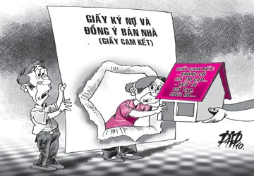 Hợp đồng chỉ vô hiệu khi giả tạo và trốn tránh ảnh 1