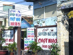 Cà phê “đen” Thanh Đa ảnh 1 Cà phê “đen” Thanh Đa ảnh 1