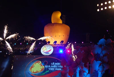 Khai mạc lễ hội Quả điều vàng ảnh 3