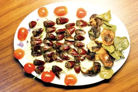 Rùng mình đi ăn côn trùng ở Hà Nội ảnh 2