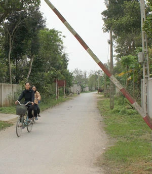 Cả làng làm rào chống trộm chó ảnh 2