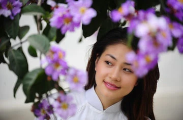 Bằng lăng tím vẫy gọi hè ảnh 8