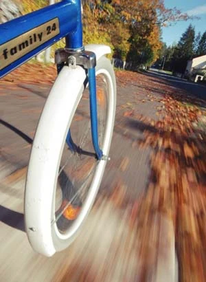 Những bức ảnh chụp góc thấp ấn tượng ảnh 15