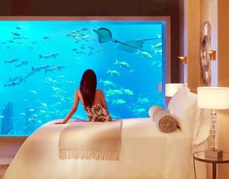 Khách sạn giá 1,23 tỷ VNĐ/đêm ảnh 12