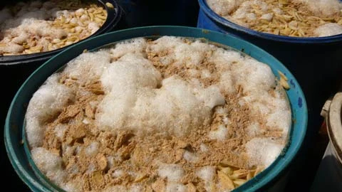 TP.HCM:Dòi bò lúc nhúc trong mứt Tết ảnh 1
