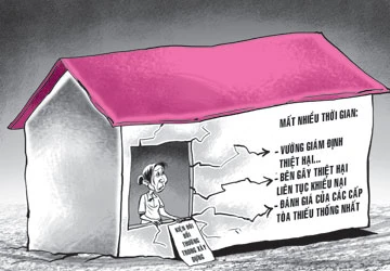 Án vướng giám định, bên thiệt hại kêu trời ảnh 1