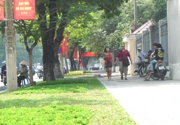 Thảm xanh 34 tuyến đường trung tâm TP ảnh 1