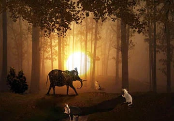 Giải mã bí ẩn của những giấc mơ ảnh 8