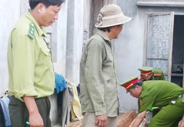 Phát hiện vụ mua bán gỗ trái phép ảnh 1