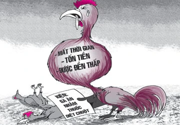 Kiện nhau vì đàn gà chết ảnh 1