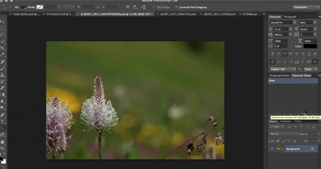 Trải nghiệm miễn phí Photoshop CS6 vừa xuất hiện ảnh 7