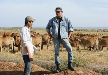 Cỏ biếc: Thông điệp về tình yêu, trách nhiệm ảnh 1