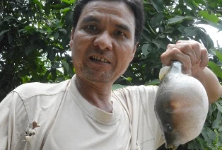 Bắt được cá “khủng” cắn người ảnh 1