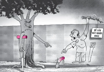 Đòi bồi thường cây mít chết ảnh 1