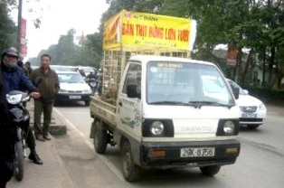 Phạt 1,5 triệu đồng vì quảng cáo bán thịt heo rừng ảnh 1