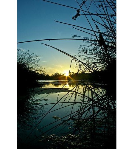 Những bức ảnh số xuất sắc năm 2009 ảnh 21