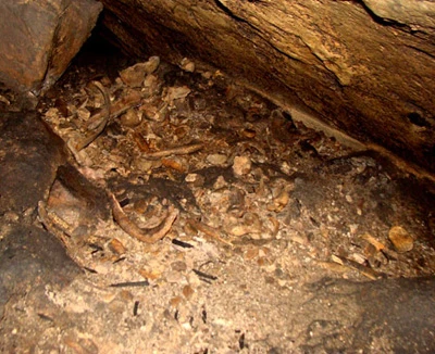 Hãi hùng đống xương trong khe đá ảnh 4