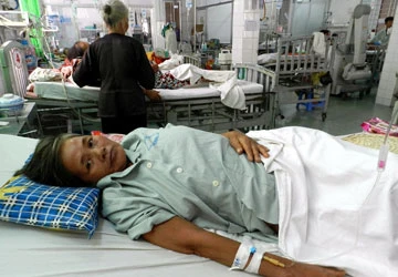 Hãi hùng rắn độc cắn chết người ảnh 3