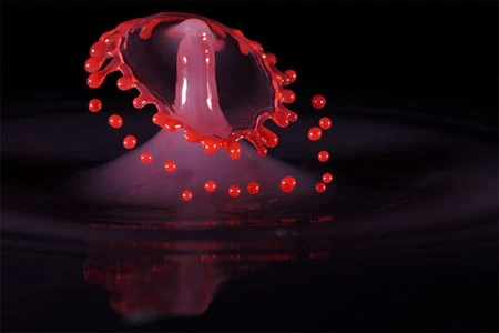 Thời gian ngưng đọng qua ảnh chụp tốc độ cao ảnh 5 Thời gian ngưng đọng qua ảnh chụp tốc độ cao ảnh 5