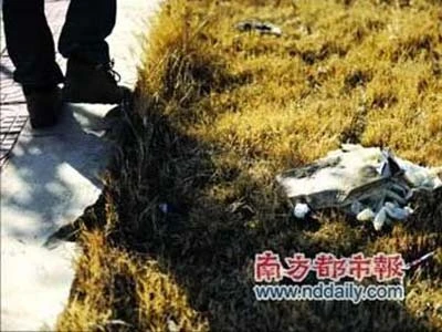 Nữ sinh tự quay quá trình giết hại “người tình” ảnh 2