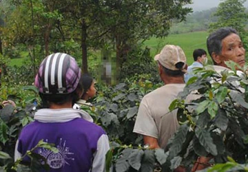 Phát hiện xác chết tại vườn vải ảnh 1