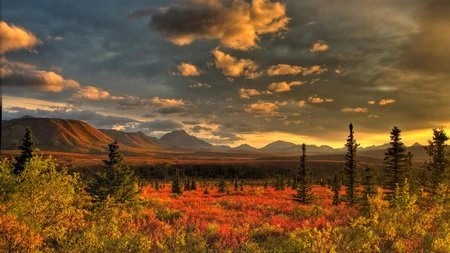 Mang thiên nhiên lên màn hình máy tính với bộ sưu tập hình nền tuyệt đẹp ảnh 12