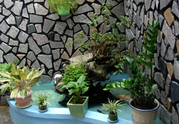 Phong thủy: Tin nhưng đừng mê tín ảnh 1