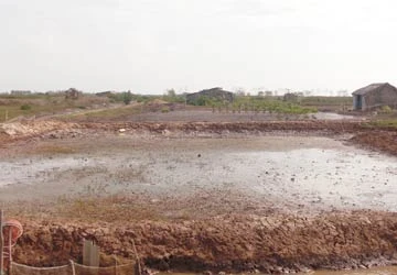 Bạc Liêu: Bất cập chống mặn, giữ ngọt ảnh 1