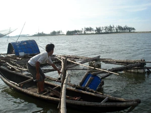 Lồng nuôi trai lấy ngọc tại xã Lộc Bình, huyện Phú Lộc, tỉnh Thừa Thiên- Huế
