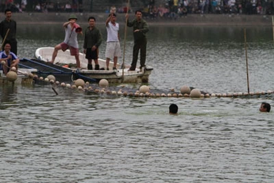 Trực tiếp quây bắt Rùa hồ Gươm: Cụ đã vào "lồng" ảnh 3 Trực tiếp quây bắt Rùa hồ Gươm: Cụ đã vào "lồng" ảnh 3